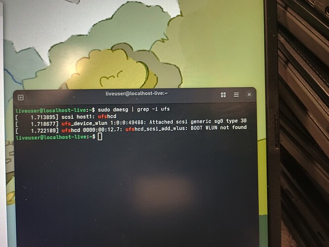 IMG_20251015_103137339_HDR