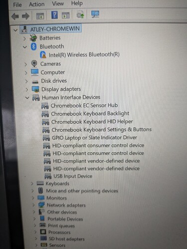 PXL_20250818_060935784.MP