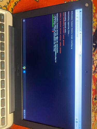 photo_2026-01-20_20-03-08