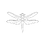 dragonfly7